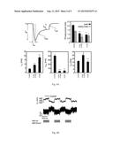 BLUE LIGHT-ACTIVATED ION CHANNEL MOLECULES AND USES THEREOF diagram and image