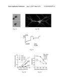 BLUE LIGHT-ACTIVATED ION CHANNEL MOLECULES AND USES THEREOF diagram and image