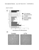 NANOPARTICLE FORMULATION diagram and image