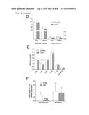 NANOPARTICLE FORMULATION diagram and image