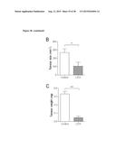 NANOPARTICLE FORMULATION diagram and image