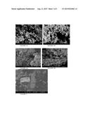 ENHANCED DELIVERY OF IMMUNOSUPPRESSIVE DRUG COMPOSITIONS FOR PULMONARY     DELIVERY diagram and image