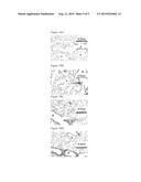 ENHANCED DELIVERY OF IMMUNOSUPPRESSIVE DRUG COMPOSITIONS FOR PULMONARY     DELIVERY diagram and image