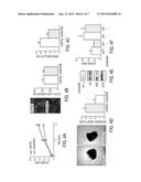 METHODS OF TREATMENT OF ISCHEMIA-INDUCED ANGIOGENESIS AND ARTERIOGENESIS diagram and image