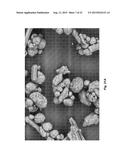 RESORBABLE OXIDIZED CELLULOSE EMBOLIZATION SOLUTION diagram and image