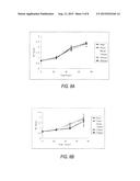 PLANT EXTRACT, COMPOSITIONS CONTAINING SAME, METHOD OF EXTRACTION AND USES     THEREOF diagram and image