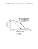 PREPARATION OF ANTIBODY OR AN ANTIBODY FRAGMENT TARGETED IMMUNOLIPOSOMES     FOR SYSTEMIC ADMINISTRATION OF THERAPEUTIC OR DIAGNOSTIC AGENTS AND USES     THEREOF diagram and image