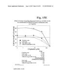 PREPARATION OF ANTIBODY OR AN ANTIBODY FRAGMENT TARGETED IMMUNOLIPOSOMES     FOR SYSTEMIC ADMINISTRATION OF THERAPEUTIC OR DIAGNOSTIC AGENTS AND USES     THEREOF diagram and image