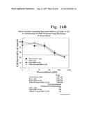 PREPARATION OF ANTIBODY OR AN ANTIBODY FRAGMENT TARGETED IMMUNOLIPOSOMES     FOR SYSTEMIC ADMINISTRATION OF THERAPEUTIC OR DIAGNOSTIC AGENTS AND USES     THEREOF diagram and image