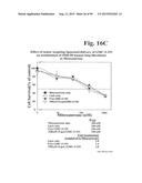 PREPARATION OF ANTIBODY OR AN ANTIBODY FRAGMENT TARGETED IMMUNOLIPOSOMES     FOR SYSTEMIC ADMINISTRATION OF THERAPEUTIC OR DIAGNOSTIC AGENTS AND USES     THEREOF diagram and image