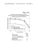 PREPARATION OF ANTIBODY OR AN ANTIBODY FRAGMENT TARGETED IMMUNOLIPOSOMES     FOR SYSTEMIC ADMINISTRATION OF THERAPEUTIC OR DIAGNOSTIC AGENTS AND USES     THEREOF diagram and image