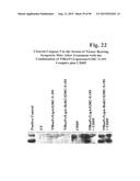 PREPARATION OF ANTIBODY OR AN ANTIBODY FRAGMENT TARGETED IMMUNOLIPOSOMES     FOR SYSTEMIC ADMINISTRATION OF THERAPEUTIC OR DIAGNOSTIC AGENTS AND USES     THEREOF diagram and image