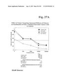 PREPARATION OF ANTIBODY OR AN ANTIBODY FRAGMENT TARGETED IMMUNOLIPOSOMES     FOR SYSTEMIC ADMINISTRATION OF THERAPEUTIC OR DIAGNOSTIC AGENTS AND USES     THEREOF diagram and image