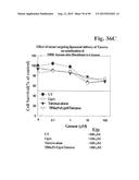 PREPARATION OF ANTIBODY OR AN ANTIBODY FRAGMENT TARGETED IMMUNOLIPOSOMES     FOR SYSTEMIC ADMINISTRATION OF THERAPEUTIC OR DIAGNOSTIC AGENTS AND USES     THEREOF diagram and image