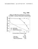 PREPARATION OF ANTIBODY OR AN ANTIBODY FRAGMENT TARGETED IMMUNOLIPOSOMES     FOR SYSTEMIC ADMINISTRATION OF THERAPEUTIC OR DIAGNOSTIC AGENTS AND USES     THEREOF diagram and image