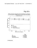 PREPARATION OF ANTIBODY OR AN ANTIBODY FRAGMENT TARGETED IMMUNOLIPOSOMES     FOR SYSTEMIC ADMINISTRATION OF THERAPEUTIC OR DIAGNOSTIC AGENTS AND USES     THEREOF diagram and image