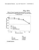 PREPARATION OF ANTIBODY OR AN ANTIBODY FRAGMENT TARGETED IMMUNOLIPOSOMES     FOR SYSTEMIC ADMINISTRATION OF THERAPEUTIC OR DIAGNOSTIC AGENTS AND USES     THEREOF diagram and image