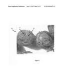 Method of Recycling Synthetic Turf and Infill Product diagram and image