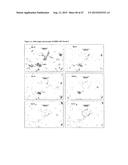 Crystalline Solid and Amorphous Forms of (-)-Halofenate and Methods     Related Thereto diagram and image