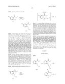 PROCESSES FOR PREPARING FUSED HETEROCYCLIC ION CHANNEL MODULATORS diagram and image