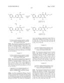 HIV INTEGRASE INHIBITORS diagram and image