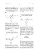 HIV INTEGRASE INHIBITORS diagram and image