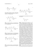 PROCESSES FOR PREPARING TUBULYSINS diagram and image