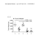 TARGETED TGF  INHIBITION diagram and image