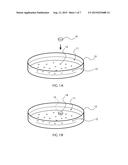 DEVICE FOR MEASURING ACTIVITY OF CULTURED CELLS, MICROCHAMBER AND METHOD     OF MEASURING ACTIVITY OF CULTURED CELLS diagram and image