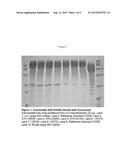 ULTRAPURE HYPOALLERGENIC SOLUTIONS OF SACROSIDASE diagram and image