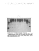 ULTRAPURE HYPOALLERGENIC SOLUTIONS OF SACROSIDASE diagram and image