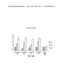 METHODS FOR SELECTIVE TARGETING OF HETEROCHROMATIN FORMING NON-CODING RNA diagram and image