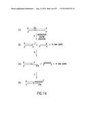 METHODS AND COMPOSITIONS FOR SYNTHESIS OF NUCLEIC ACID MOLECULES USING     MULTIPLERECOGNITION SITES diagram and image