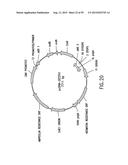 METHODS AND COMPOSITIONS FOR SYNTHESIS OF NUCLEIC ACID MOLECULES USING     MULTIPLERECOGNITION SITES diagram and image