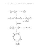 METHODS AND COMPOSITIONS FOR SYNTHESIS OF NUCLEIC ACID MOLECULES USING     MULTIPLERECOGNITION SITES diagram and image