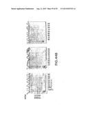 METHODS AND COMPOSITIONS FOR SYNTHESIS OF NUCLEIC ACID MOLECULES USING     MULTIPLERECOGNITION SITES diagram and image