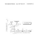 MICROBIAL PRODUCTION OF MUCONIC ACID AND SALICYLIC ACID diagram and image