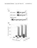 MICROBIAL PRODUCTION OF MUCONIC ACID AND SALICYLIC ACID diagram and image