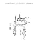 METHODS FOR RAPID DETECTION AND IDENTIFICATION OF BIOAGENTS IN     EPIDEMIOLOGICAL AND FORENSIC INVESTIGATIONS diagram and image