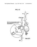 METHODS FOR RAPID DETECTION AND IDENTIFICATION OF BIOAGENTS IN     EPIDEMIOLOGICAL AND FORENSIC INVESTIGATIONS diagram and image