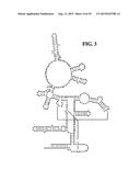 METHODS FOR RAPID DETECTION AND IDENTIFICATION OF BIOAGENTS IN     EPIDEMIOLOGICAL AND FORENSIC INVESTIGATIONS diagram and image