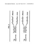 METHODS FOR RAPID DETECTION AND IDENTIFICATION OF BIOAGENTS IN     EPIDEMIOLOGICAL AND FORENSIC INVESTIGATIONS diagram and image