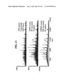 METHODS FOR RAPID DETECTION AND IDENTIFICATION OF BIOAGENTS IN     EPIDEMIOLOGICAL AND FORENSIC INVESTIGATIONS diagram and image