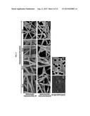 Surface Modified Polymeric Nanofiber Substrates By Plasma-Treatment and     Fabrication Process for The Same diagram and image