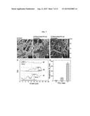 Surface Modified Polymeric Nanofiber Substrates By Plasma-Treatment and     Fabrication Process for The Same diagram and image