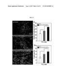 Surface Modified Polymeric Nanofiber Substrates By Plasma-Treatment and     Fabrication Process for The Same diagram and image