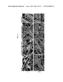 Surface Modified Polymeric Nanofiber Substrates By Plasma-Treatment and     Fabrication Process for The Same diagram and image