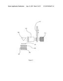 OPTICAL SYSTEM FOR MULTIPLE REACTIONS diagram and image