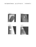 Optical Trace Chemical Detection for Analysis of Latent Prints diagram and image