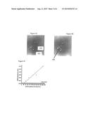 Optical Trace Chemical Detection for Analysis of Latent Prints diagram and image